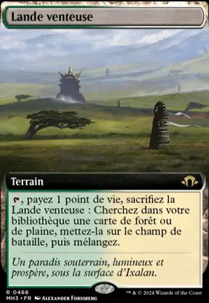 Lande venteuse