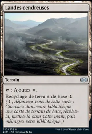 Landes cendreuses