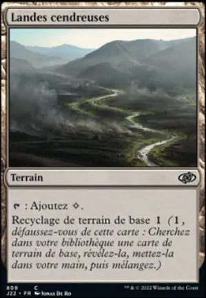 Landes cendreuses