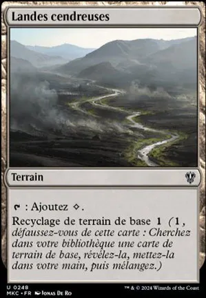 Landes cendreuses