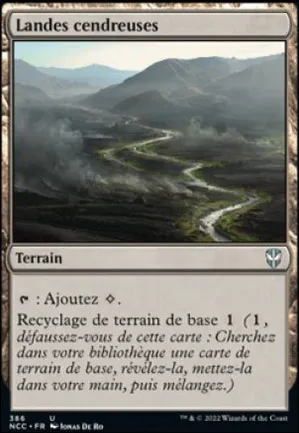 Landes cendreuses