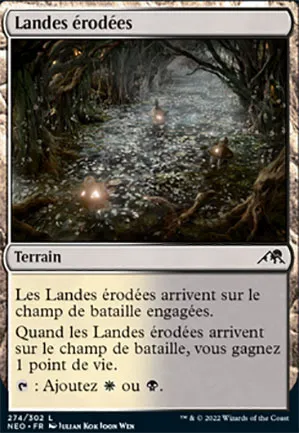 Landes érodées