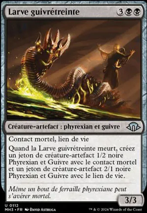 Larve guivrétreinte