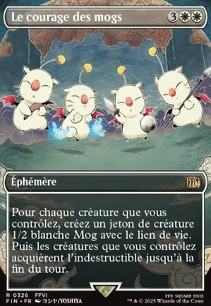 Le courage des mogs