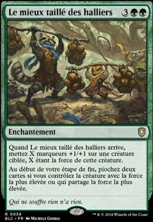 Le mieux taillé des halliers