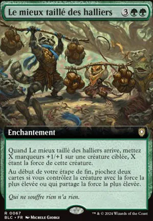 Le mieux taillé des halliers
