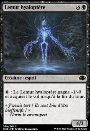 Lémur hyaloptère