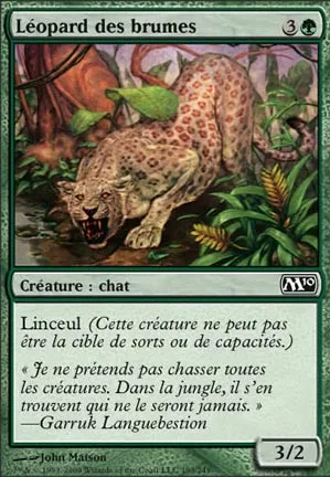 Léopard des brumes