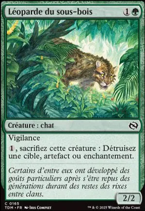 Léoparde du sous-bois