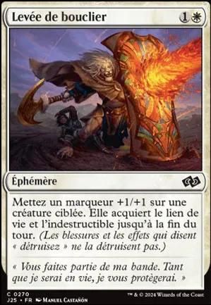 Levée de bouclier