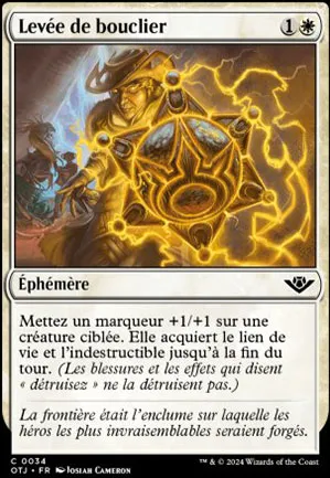 Levée de bouclier