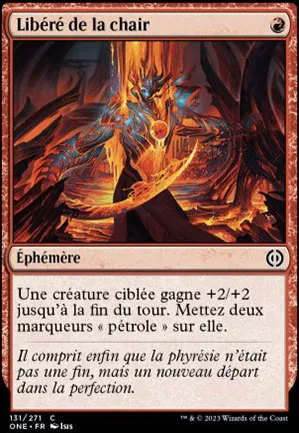 Libéré de la chair