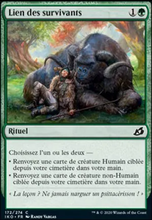 Lien des survivants