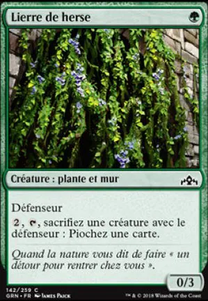 Lierre de herse