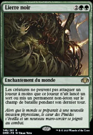 Lierre noir