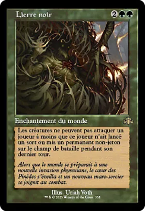 Lierre noir