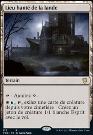 Lieu hanté de la lande