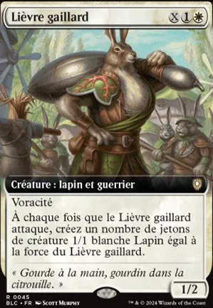 Lièvre gaillard
