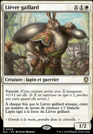 Lièvre gaillard