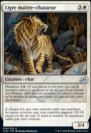 Ligre maître-chasseur