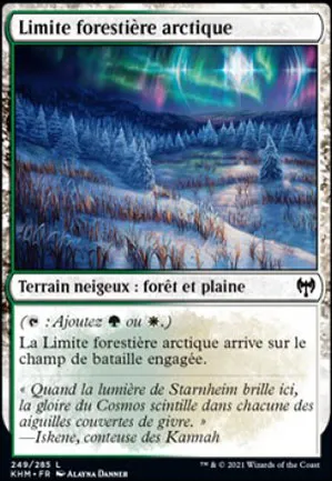 Limite forestière arctique