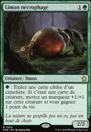 Limon nécrophage