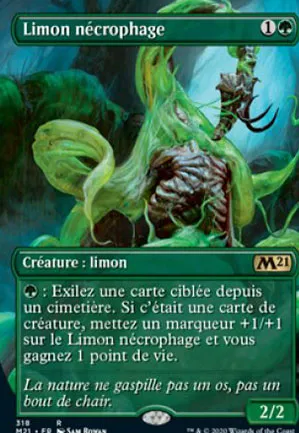 Limon nécrophage