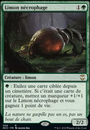 Limon nécrophage