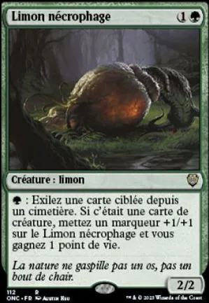 Limon nécrophage