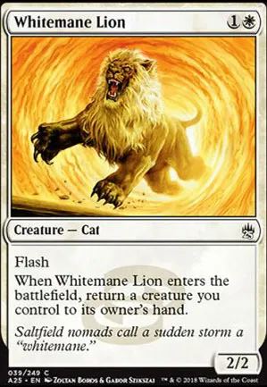 Lion à crinière blanche