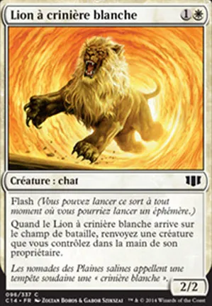 Lion à crinière blanche