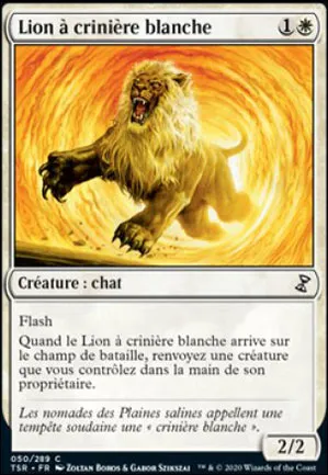 Lion à crinière blanche