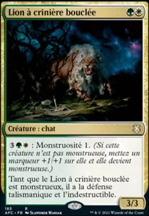 Lion à crinière bouclée