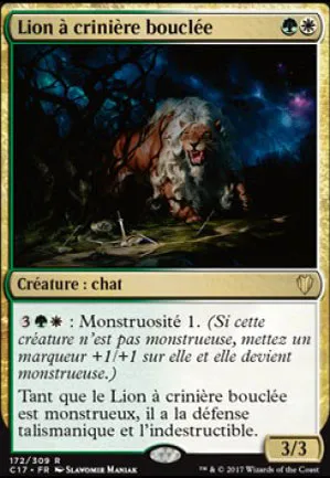 Lion à crinière bouclée