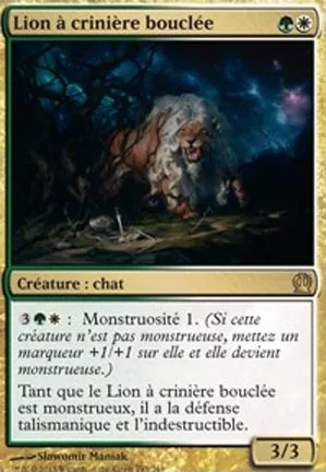 Lion à crinière bouclée