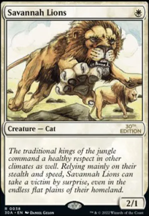 Lions des savanes