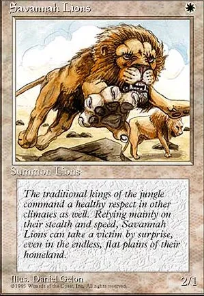 Lions des savanes