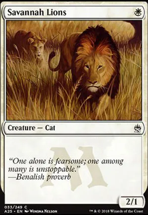 Lions des savanes