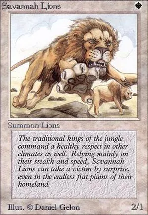 Lions des savanes