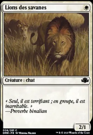 Lions des savanes