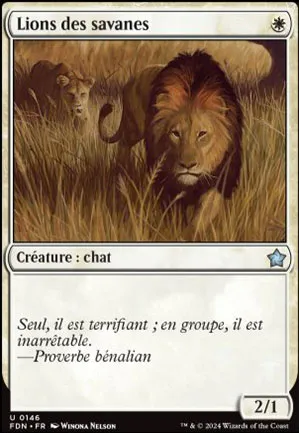 Lions des savanes