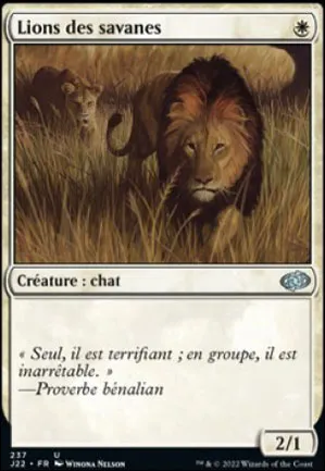 Lions des savanes