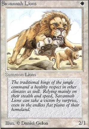 Lions des savanes