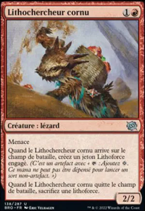Lithochercheur cornu