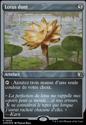 Lotus doré