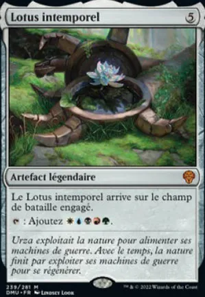 Lotus intemporel
