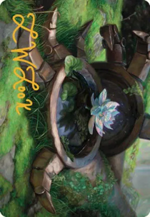 Lotus intemporel - Illustration