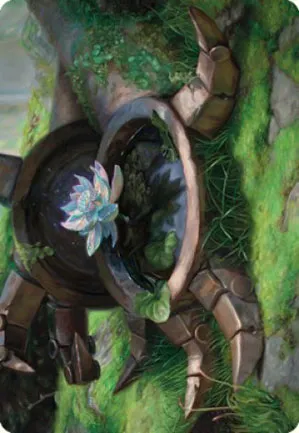 Lotus intemporel - Illustration