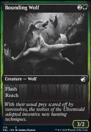 Loup bondissant