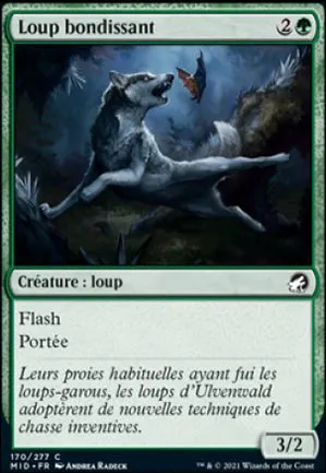 Loup bondissant